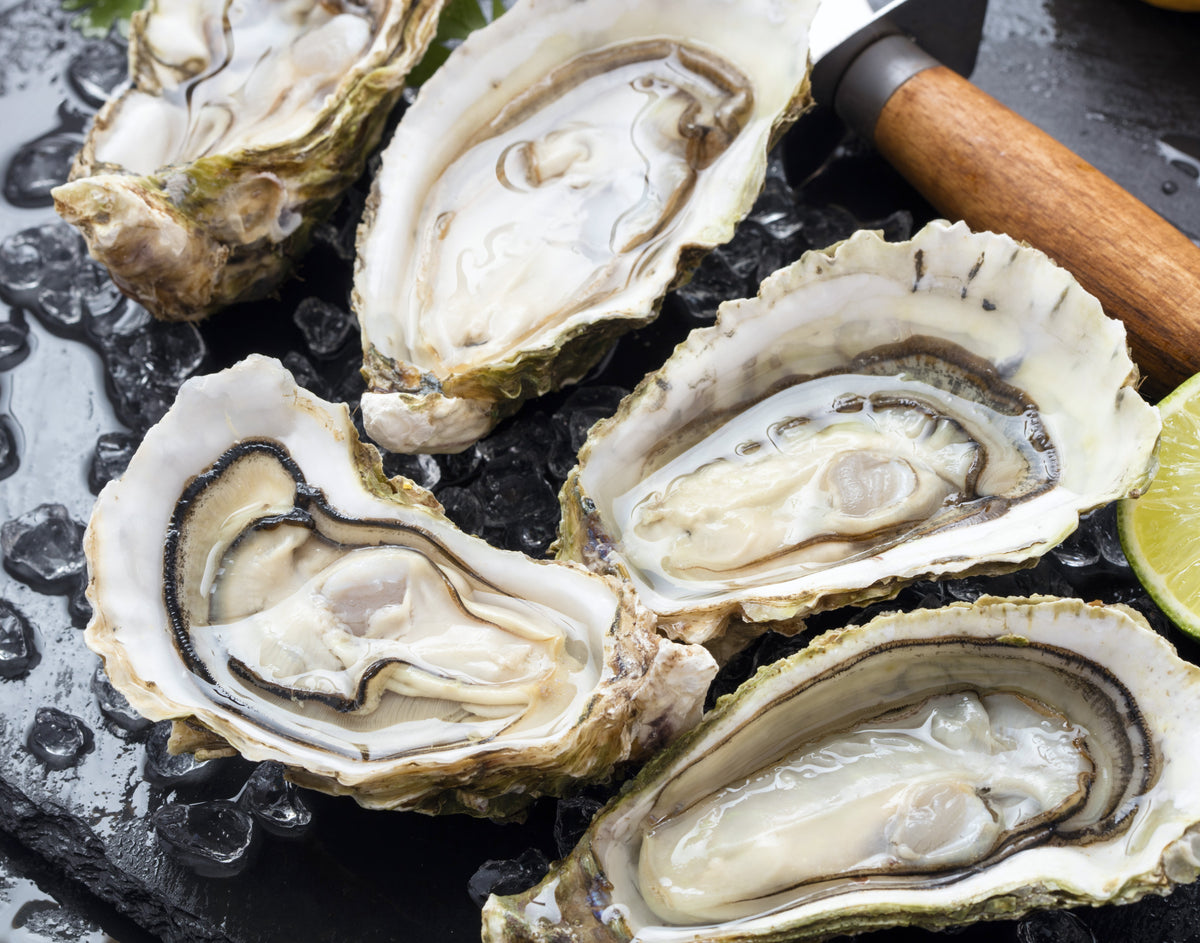 > Buy Hyogo Oysters Online in Singapore – Seaco Online