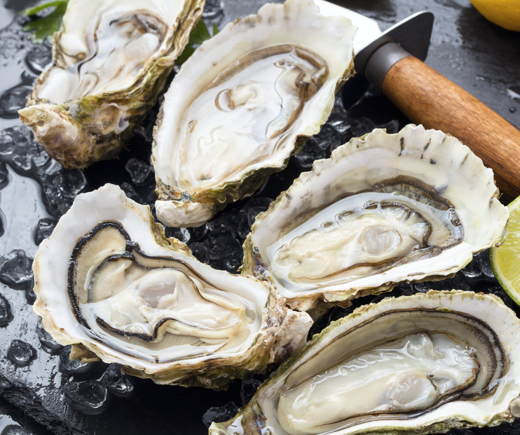 > Buy Halal Oyster Singapore Online – Seaco Online