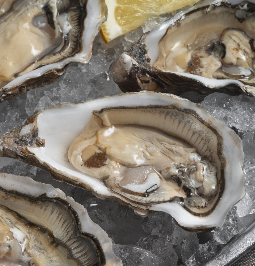 Royal Oysters