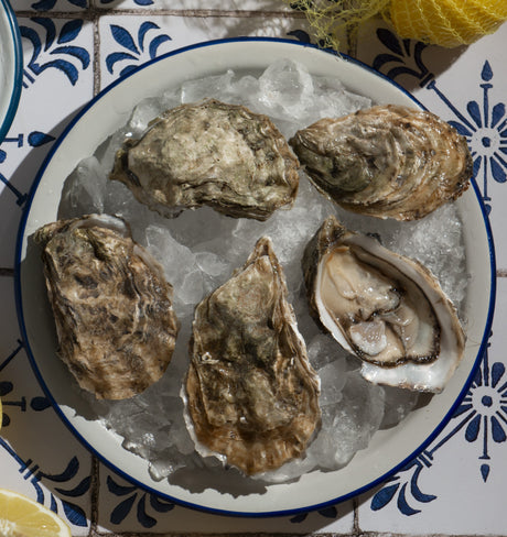 Japanese Oysters