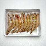 Flower Tiger Prawn HOSO (21-25)