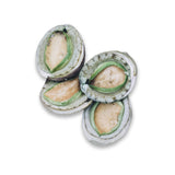 Australia Frozen Greenlip Abalone In Shell - 4pcs