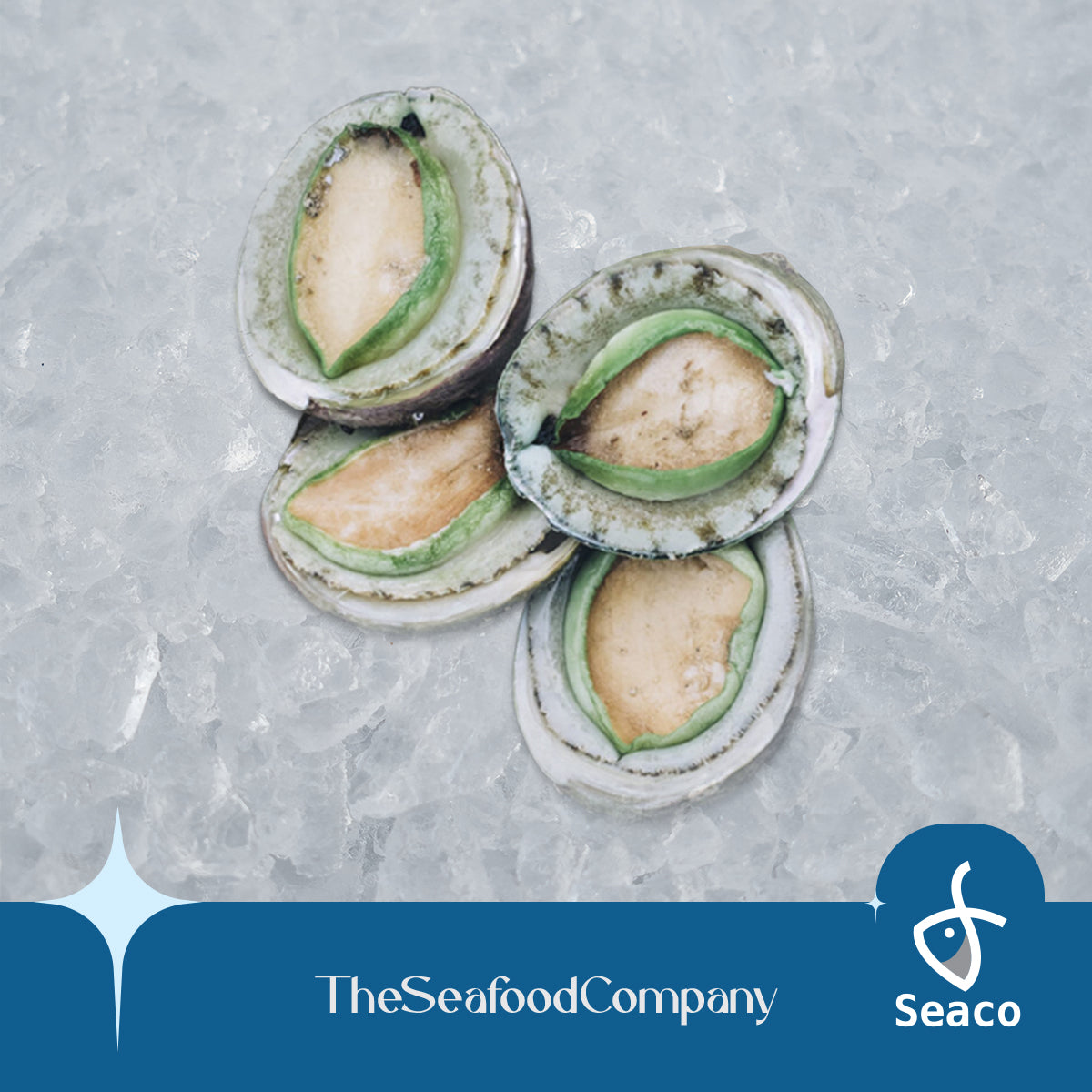 Australia Frozen Greenlip Abalone In Shell 4pcs Seaco Online