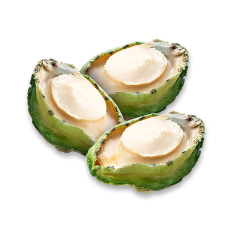 Australia Greenlip Abalone - 3pcs (Drained Weight 120g)