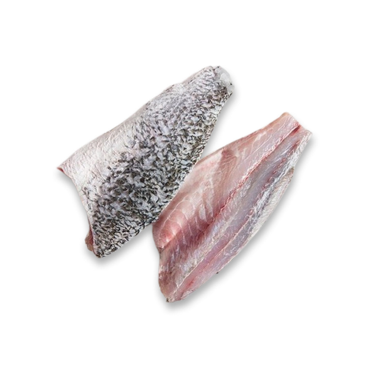 Red Sea Barramundi Fillet