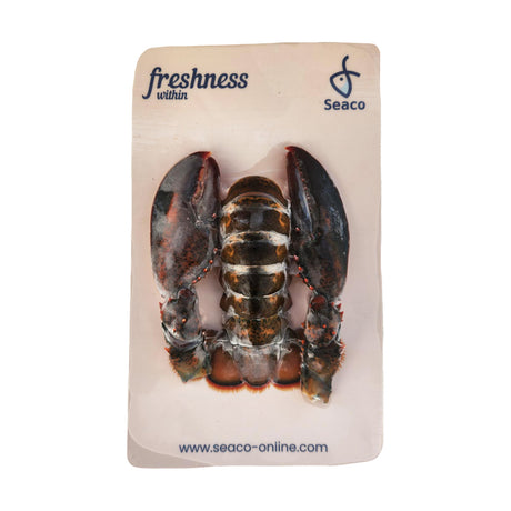 Boston Lobster Tail With Claw