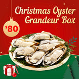 Christmas Frozen Oyster Grandeur Box - 100pcs