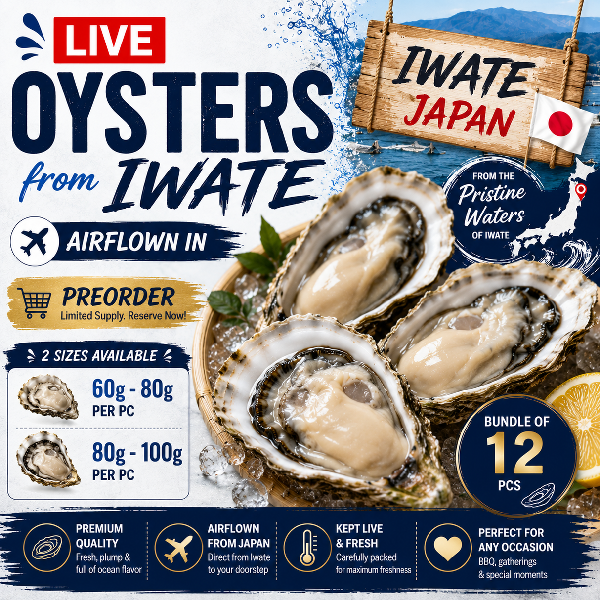 [Pre-Order] Bundle of 12 - Live Oysters from Iwate - Japan