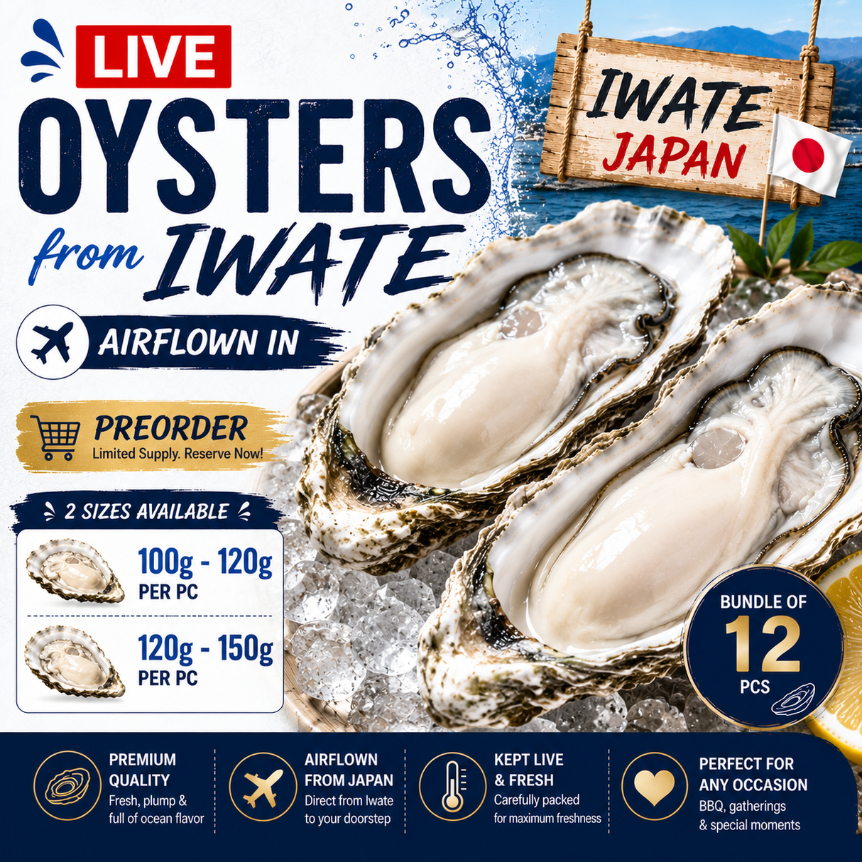 [Pre-Order] Bundle of 12 - Live Oysters from Iwate - Japan