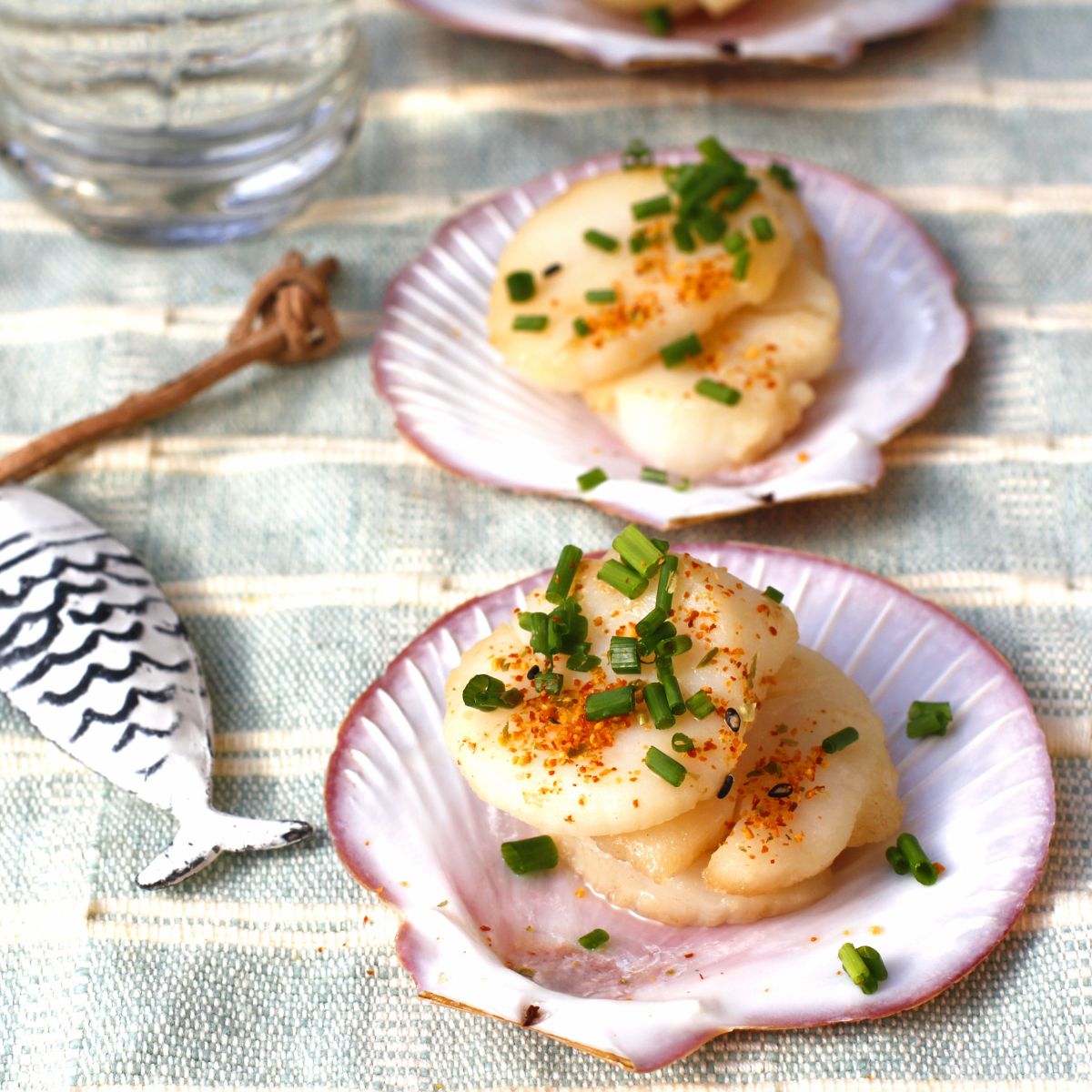 [Set of 2] Australia Abrohlos Island 1/2 Shell Scallop