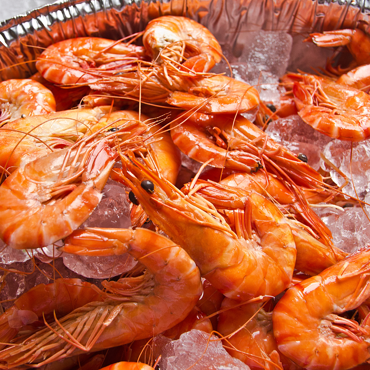 Cooked Vannamei Prawns