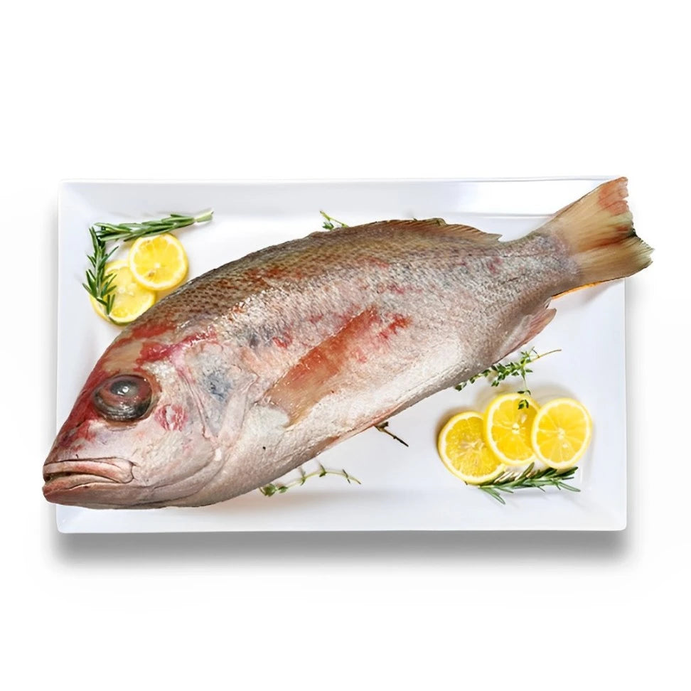 Fresh Australia Whole Crimson Snapper GGS