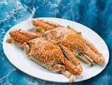 Frozen Blue Swimming Crab