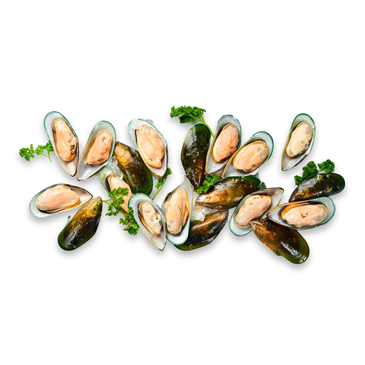 Half Shell Green Mussel