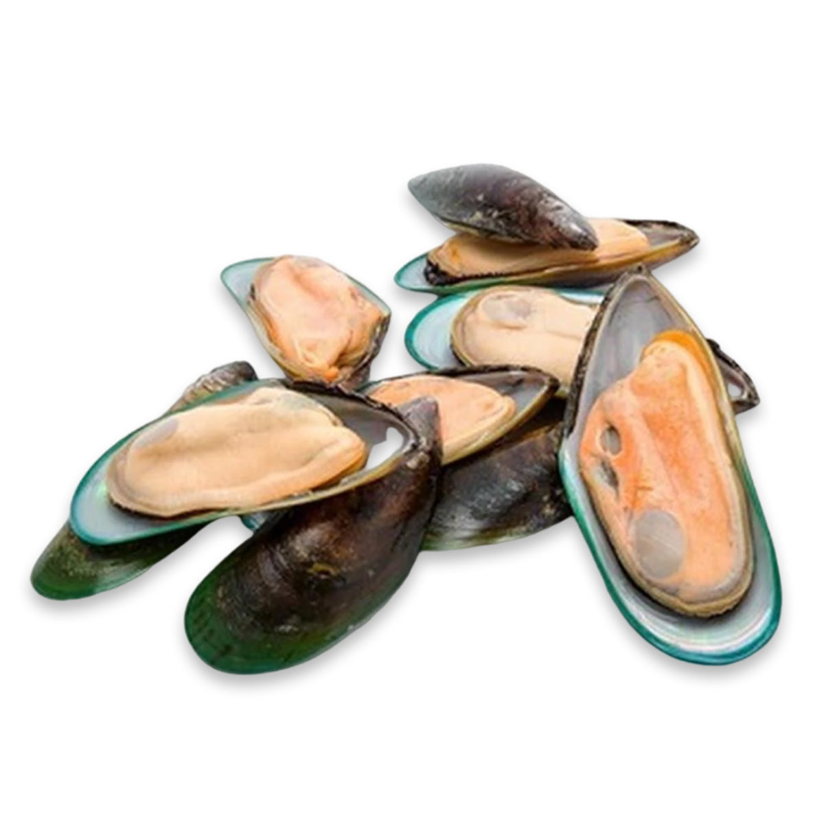 Half Shell Green Mussel