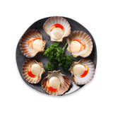 Japan 1/2 Shell Sea Scallop