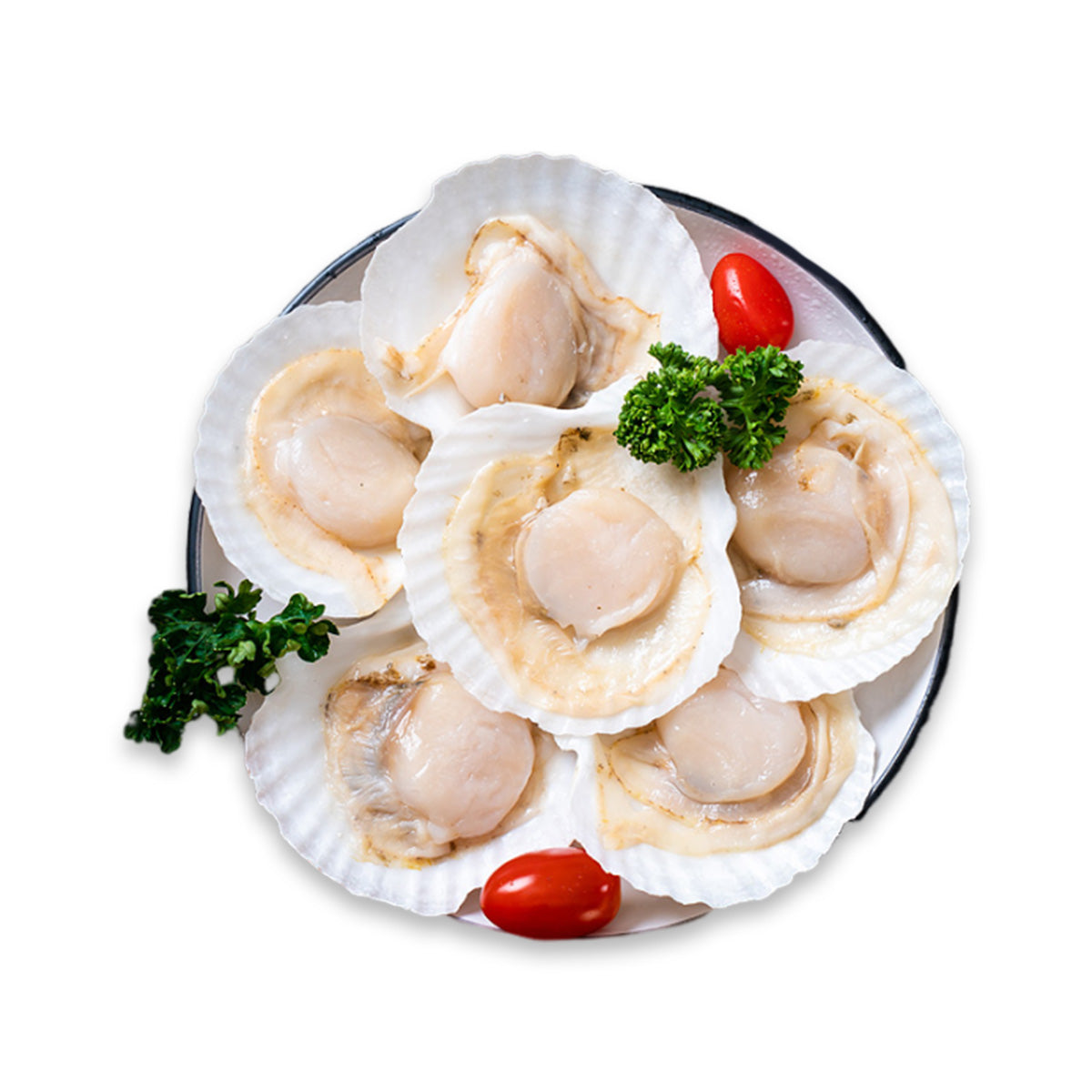 Japan 1/2 Shell Sea Scallop