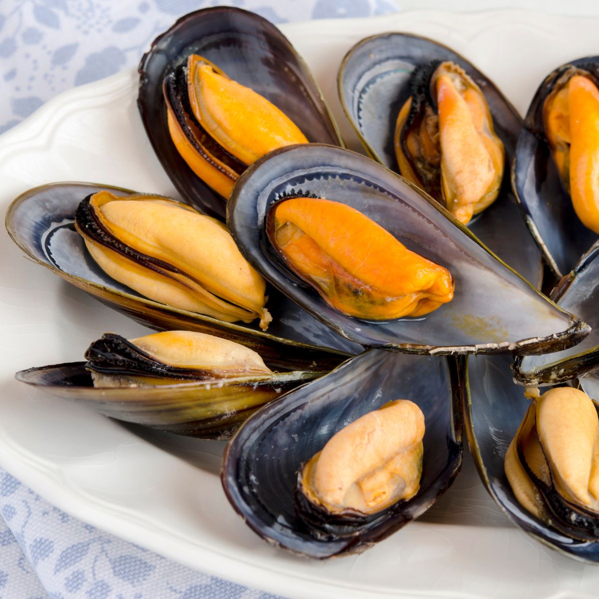 1/2 Shell Cooked Blue Mussel