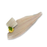 Halibut Fillet