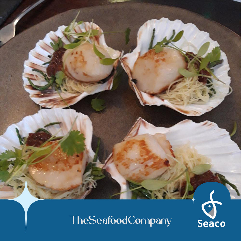 Scallop Shell Master > Buy Scallops Online in Singapore – Seaco Online