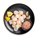 Japanese Scallop Meat (20-30) - 500g