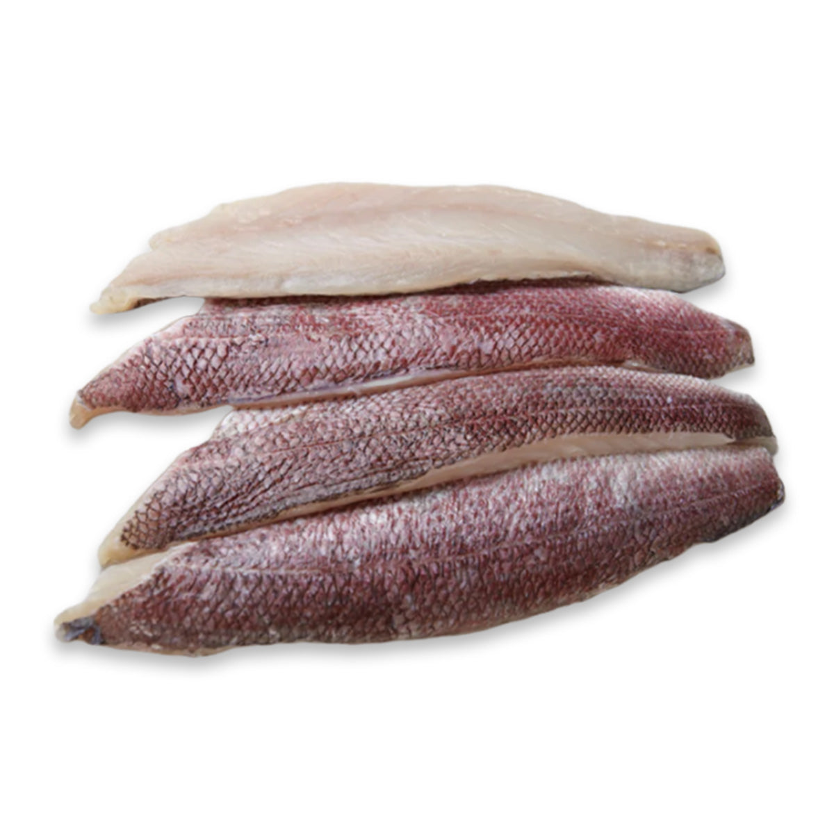 Kingsnapper King Snapper Fillet Singapore Online Delivery | Seaco – Seaco Online