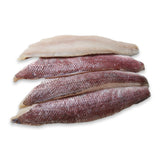 King Snapper Fillet