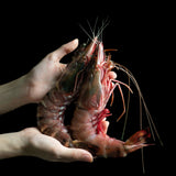 Whole King Prawns