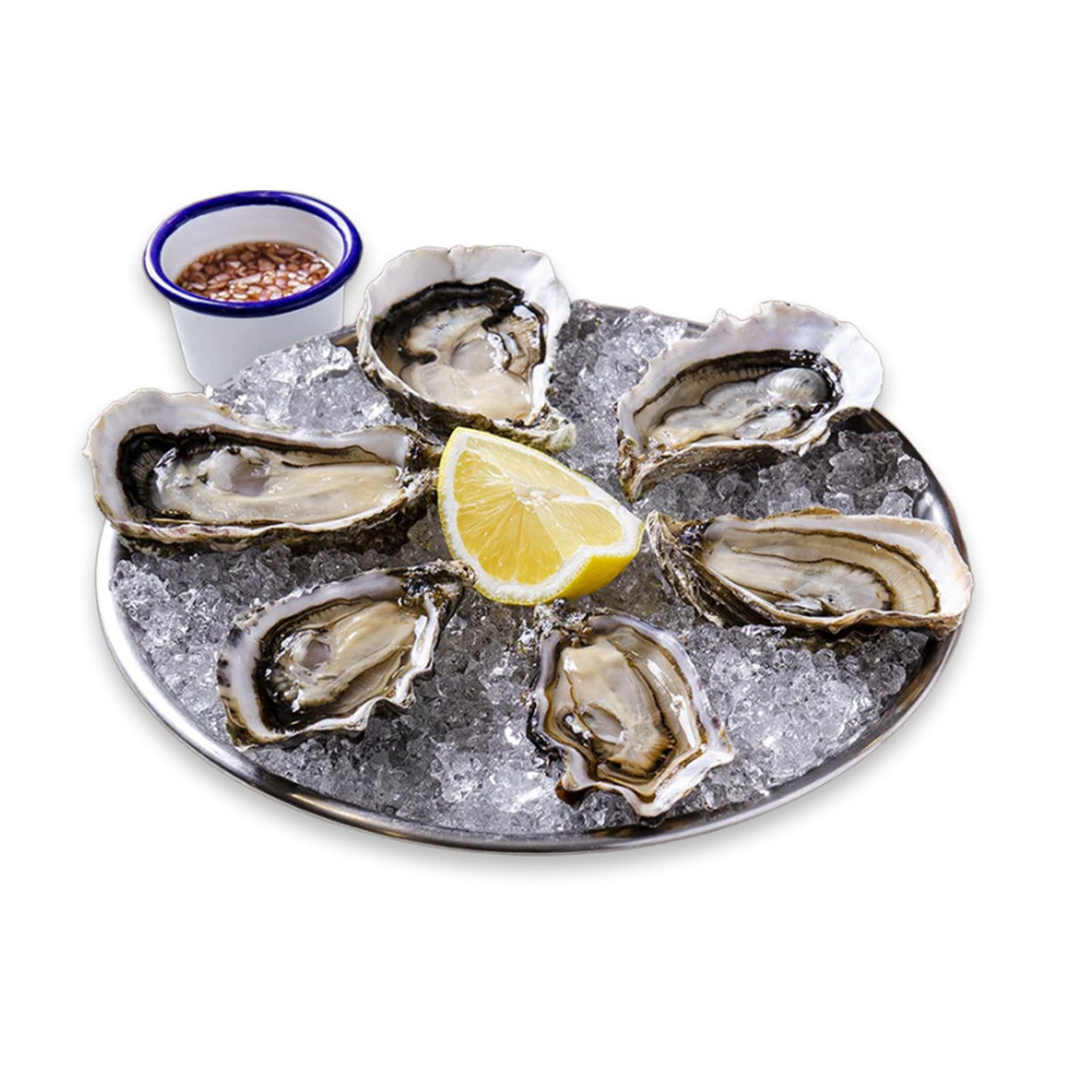 Bundle of 12 - Live French Oysters