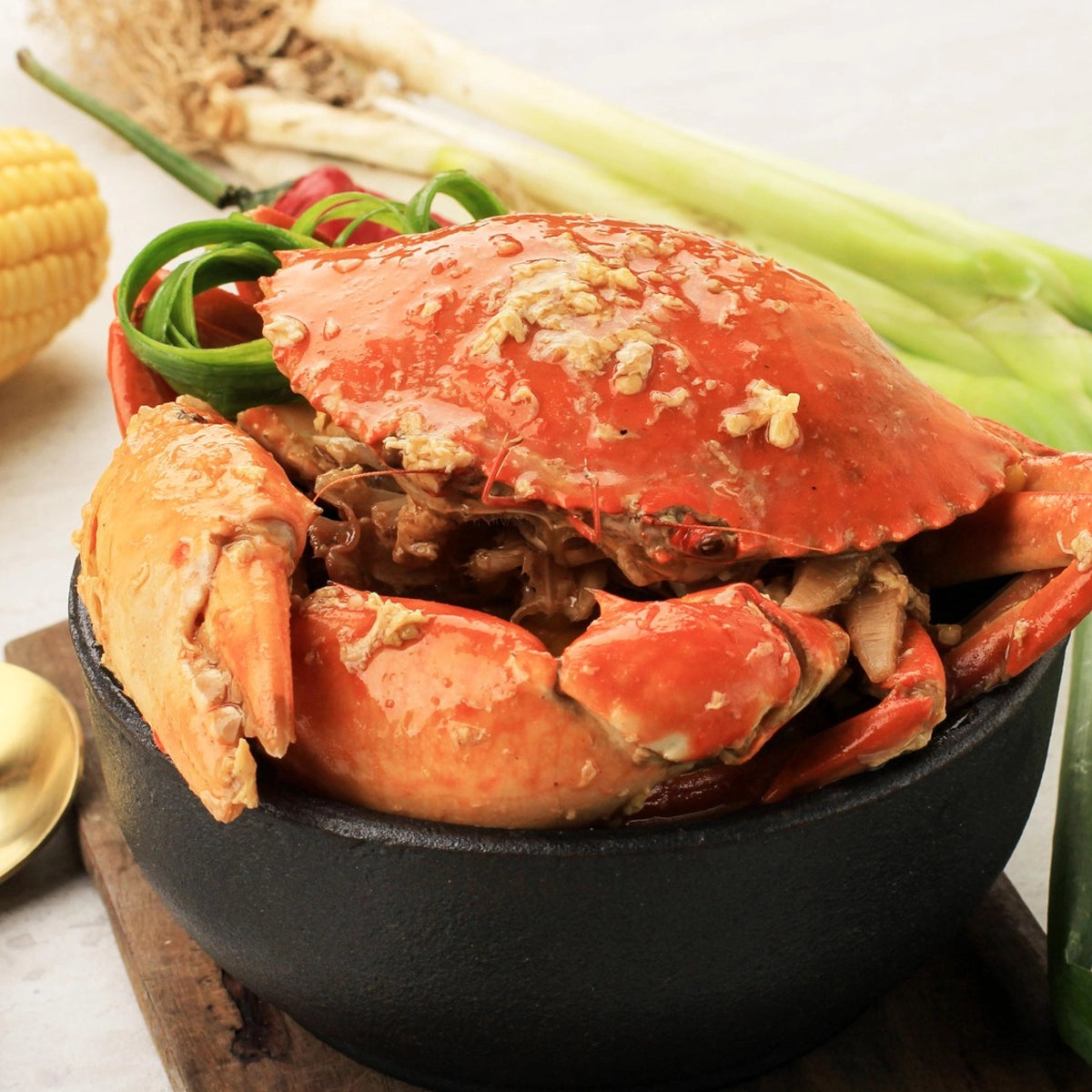 Live Indonesia Mud Crab - Medium