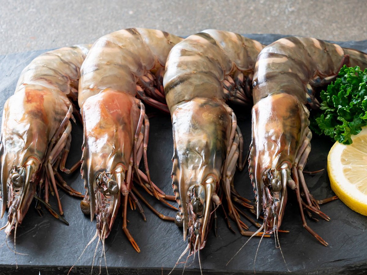 Live Tiger Prawn (21-25)