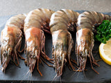 Live Tiger Prawn (21-25)