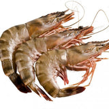 MCBOATS Australia Wild Caught Tiger Prawn - Head On Shell On (11-15) - 1kg