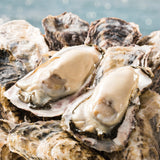Frozen Japan Whole Miyagi Large Oyster (100-120g) - 12pcs