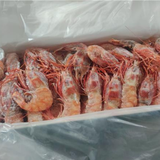 Sashimi Grade Frozen Pacific Dragon Prawn
