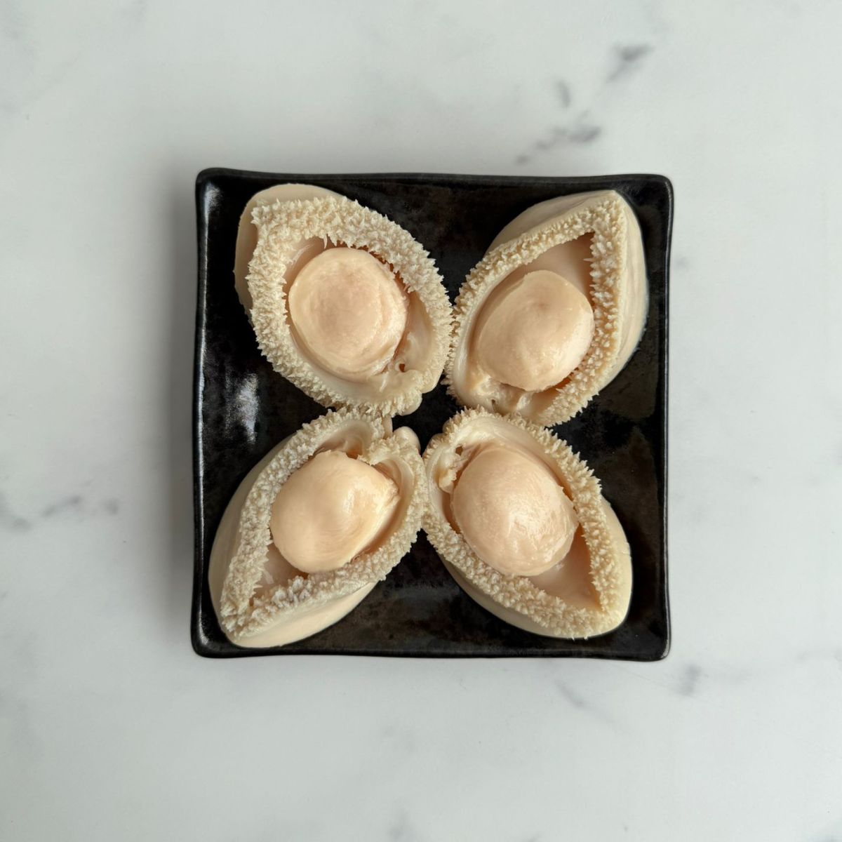 South Africa Canned Abalone in Brine