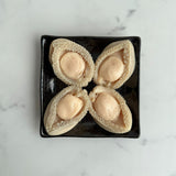 South Africa Canned Abalone in Brine