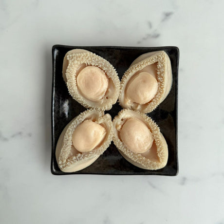 South Africa Canned Abalone in Brine