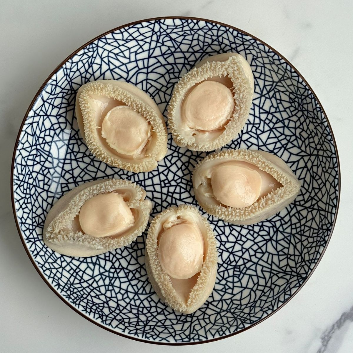 South Africa Canned Abalone in Brine