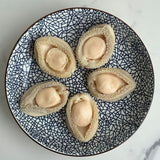 South Africa Canned Abalone in Brine