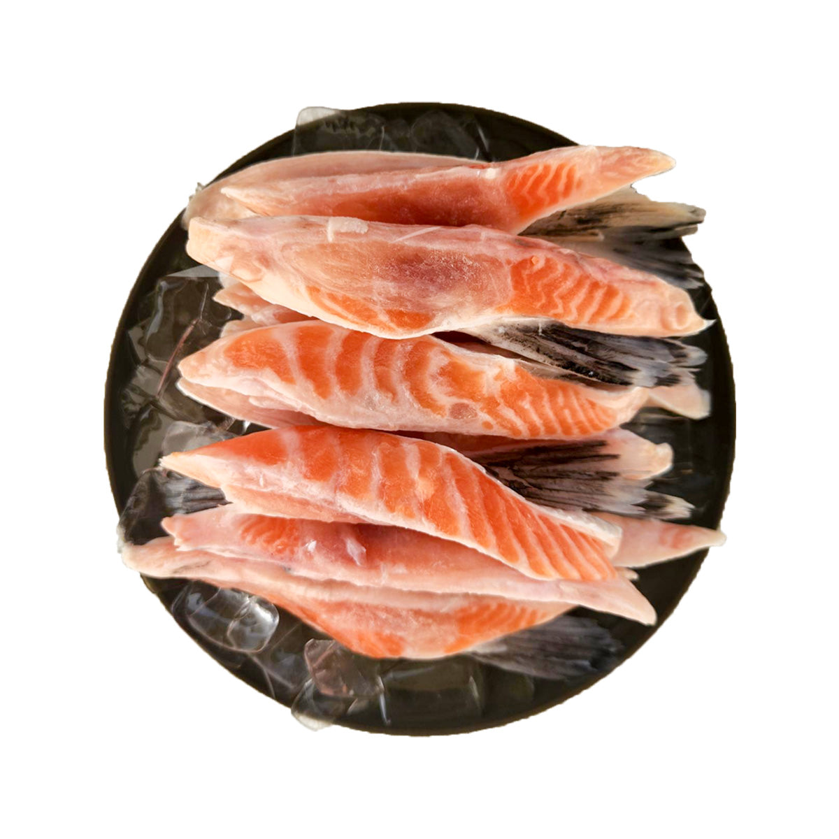 Salmon Fish Fin