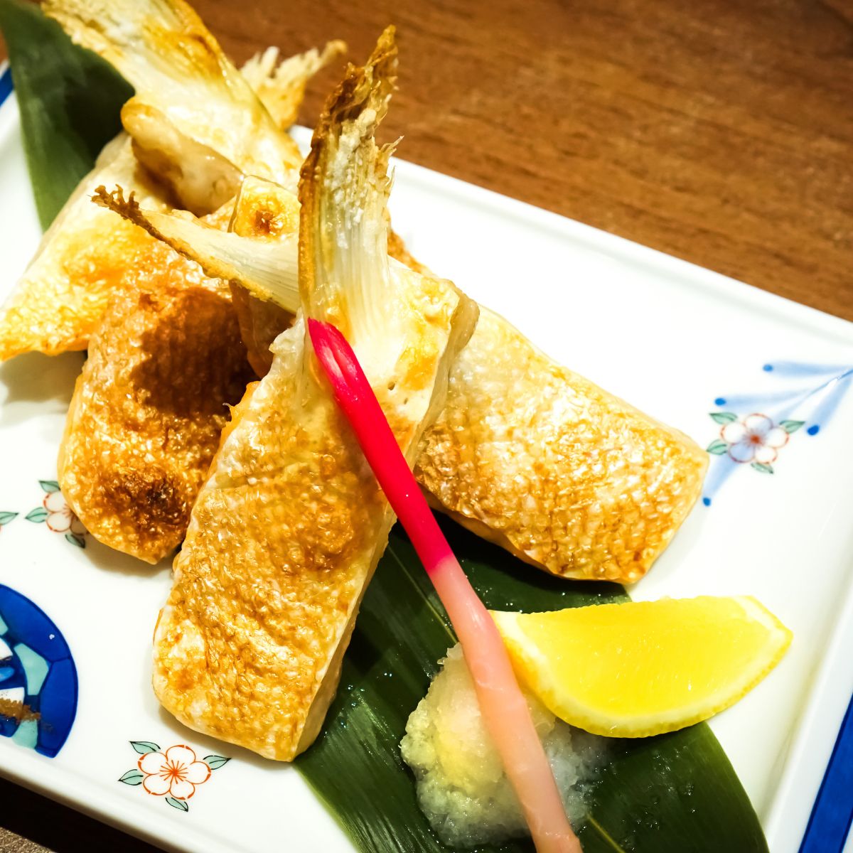 Salmon Fish Fin