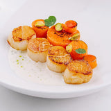 Canada Scallop 10-20