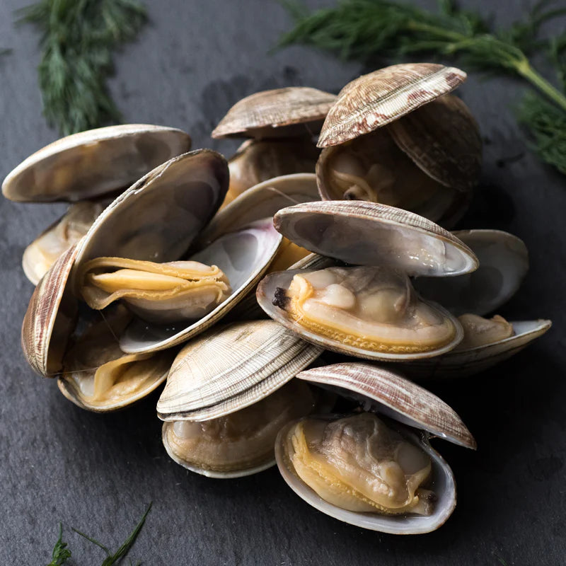 Cooked Short Neck Clam (20-30)