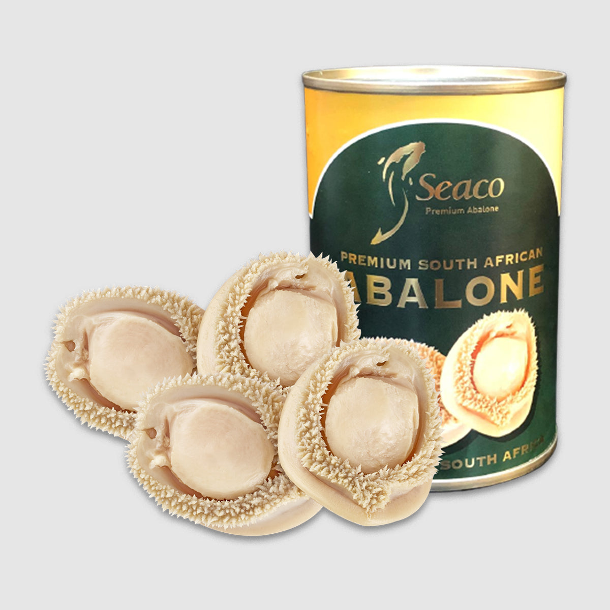 South Africa Brine Abalone - 4PCS (DW 213GM)