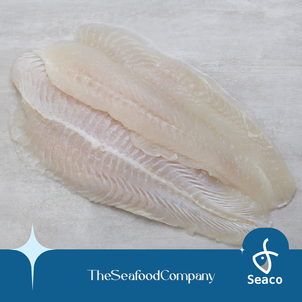 > Buy Sutchi Fish Online in Singapore – Seaco Online