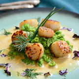 Canada Scallop Meat 21-25