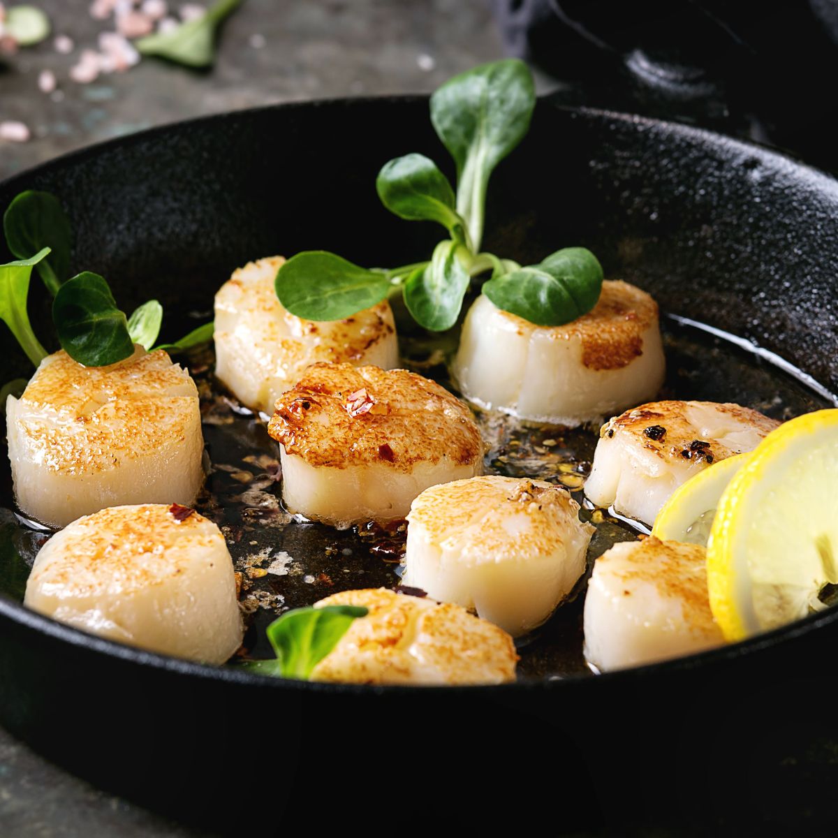 Canada Scallop Meat 21-25