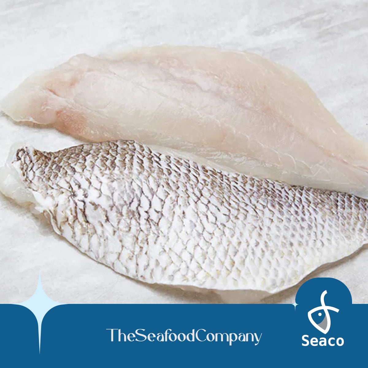 White Snapper Fillet – Seaco Online