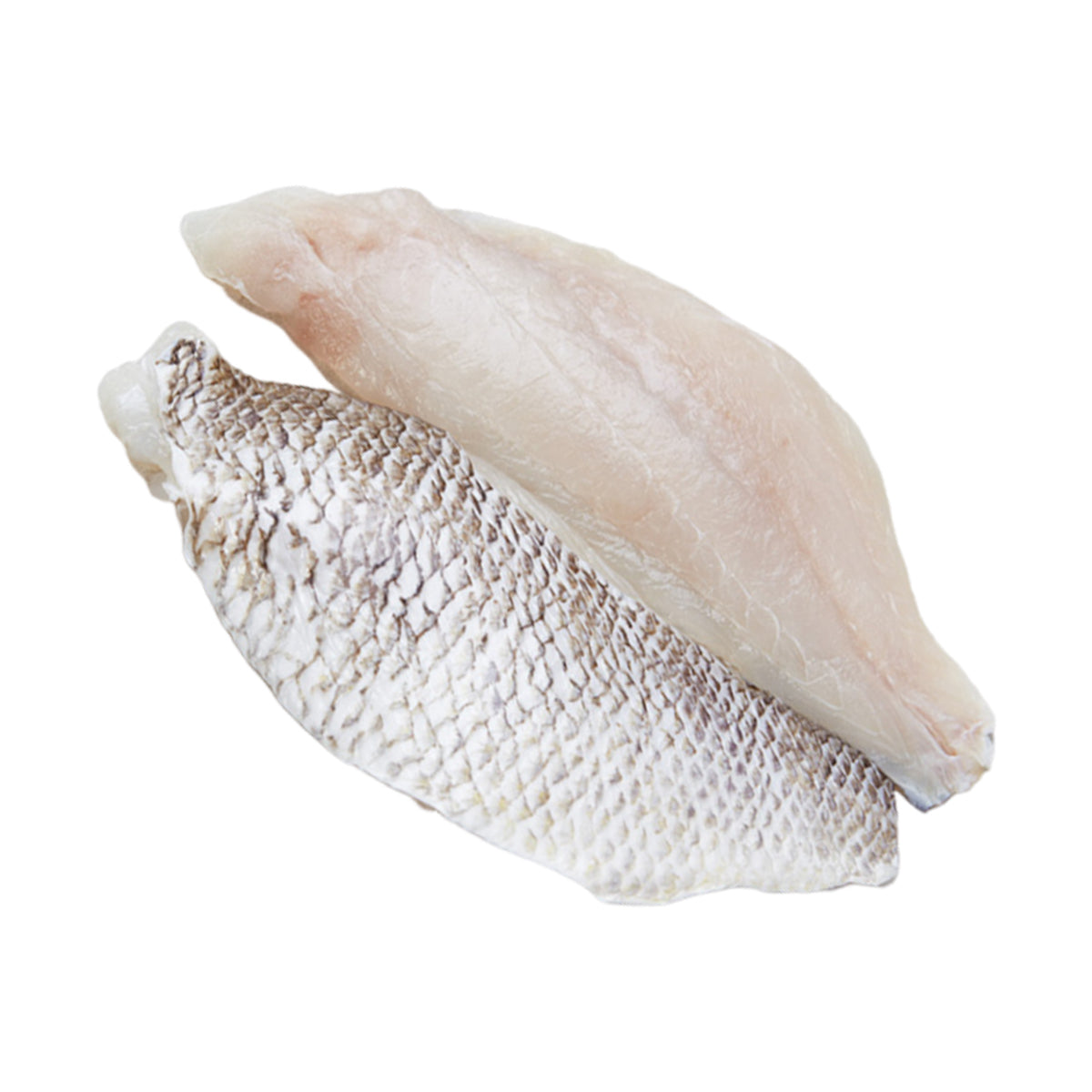 White Snapper Fillet